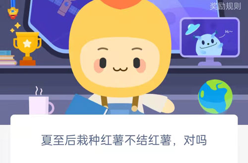 夏至后栽种红薯不结红薯，对吗。