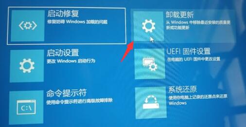 Win11退回Win10按键没反应怎么办?Win11退回Win10按键没反应解决方法截图