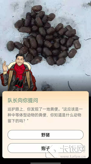 中等体型动物的粪便野猪狍子。