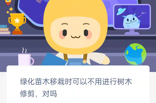 绿化苗木移栽时可以不用进行树木修剪对吗。