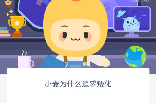 小麦为什么追求矮化。