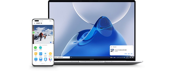 荣耀俱乐部可以卸载吗。