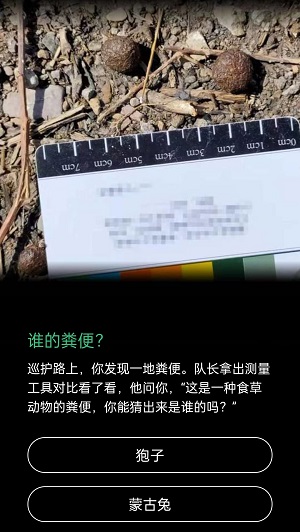 谁的粪便蚂蚁森林狍子蒙古兔。