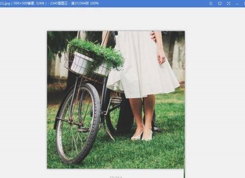 2345看图王怎么使用锁定缩放比例?2345看图王使用锁定缩放比例方法