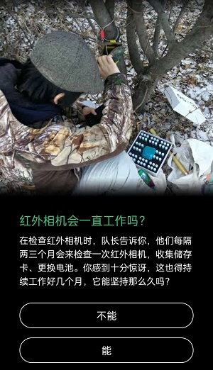 红外相机会一直工作吗。