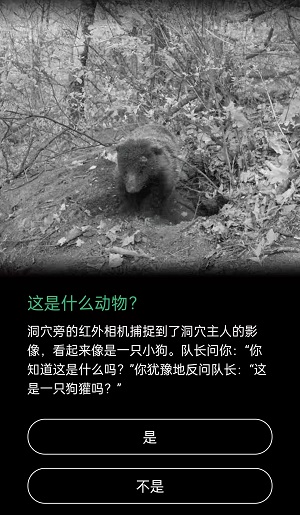 这是什么动物。