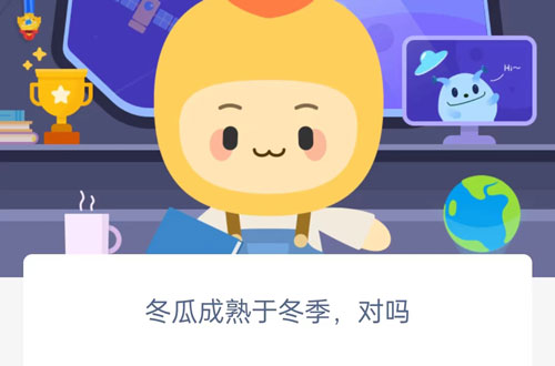 冬瓜成熟于冬季对吗。