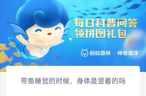 带鱼睡觉的时候身体是竖着的吗。