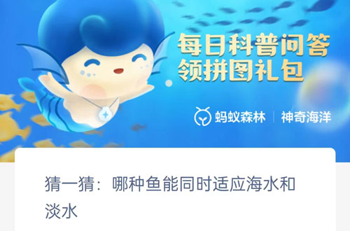 猜一猜哪种鱼能同时适应海水和淡水。