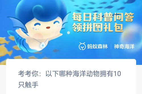 考考你以下哪种海洋动物拥有10只触手。