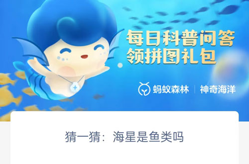 猜一猜海星是鱼类吗。