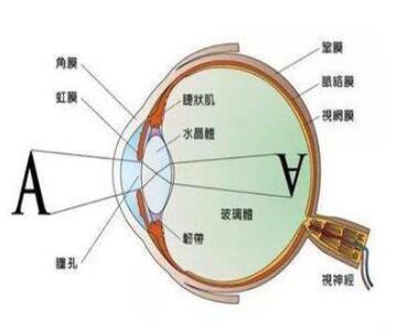 vivoX70t屏幕刷新怎么样？vivoX70t屏幕刷新率介绍截图