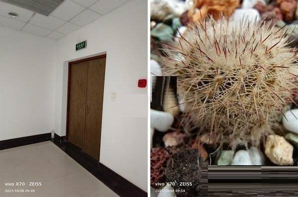 vivoX70t拍照性能好吗?vivoX70t拍照性能详解截图