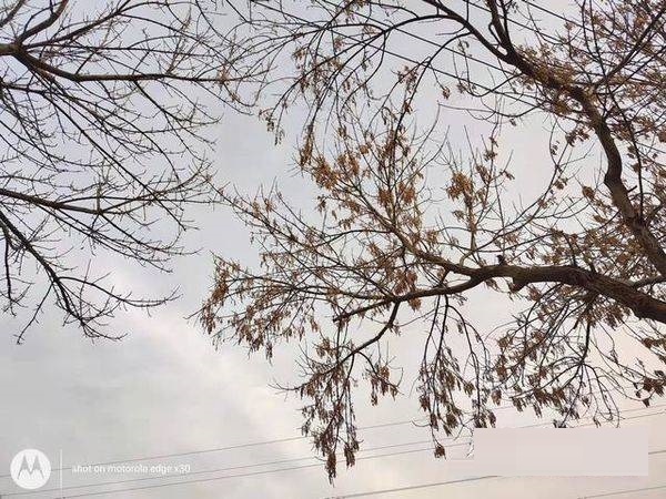 摩托罗拉edgex30拍照性能好吗?摩托罗拉edgex30拍照性能解析截图