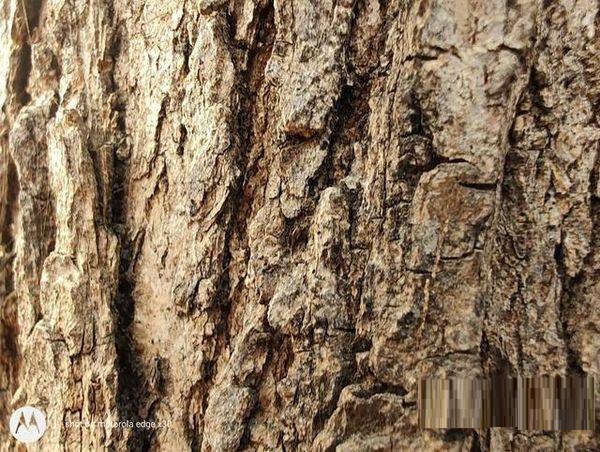 摩托罗拉edgex30拍照性能好吗?摩托罗拉edgex30拍照性能解析截图