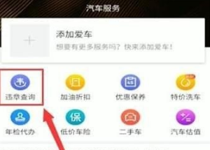 懂车帝违章在哪里查？懂车帝查询违章操作方法截图