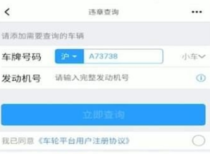 懂车帝违章在哪里查？懂车帝查询违章操作方法截图