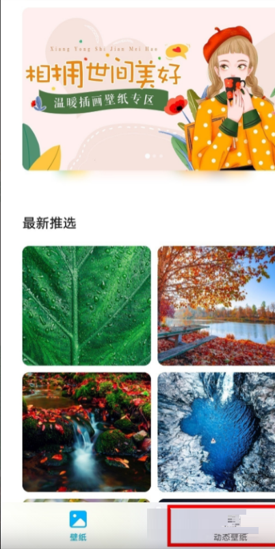 荣耀60pro动态壁纸在哪里设置？荣耀60pro动态壁纸设置教程截图