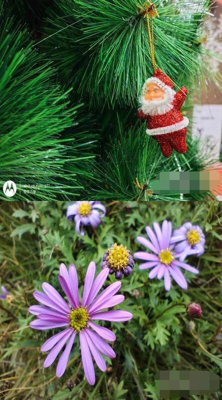 摩托罗拉G71怎么样?摩托罗拉G71真机实测详解截图