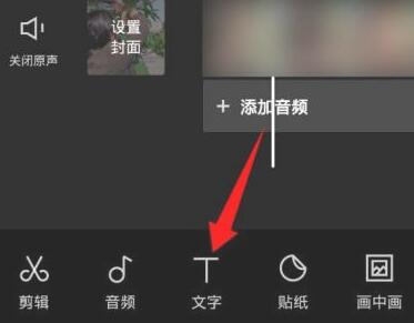 抖音如何让字幕竖起来?抖音字幕竖排制作方法截图