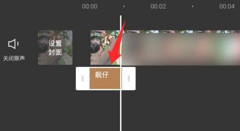 抖音如何让字幕竖起来?抖音字幕竖排制作方法截图
