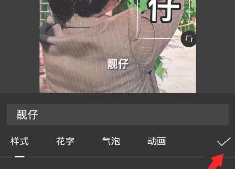 抖音如何让字幕竖起来?抖音字幕竖排制作方法截图