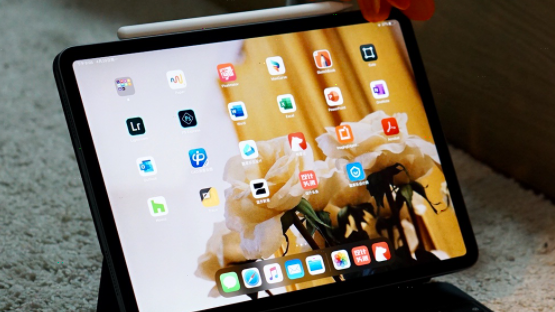 今天说说goodnotes在哪导出诊断数据 。。