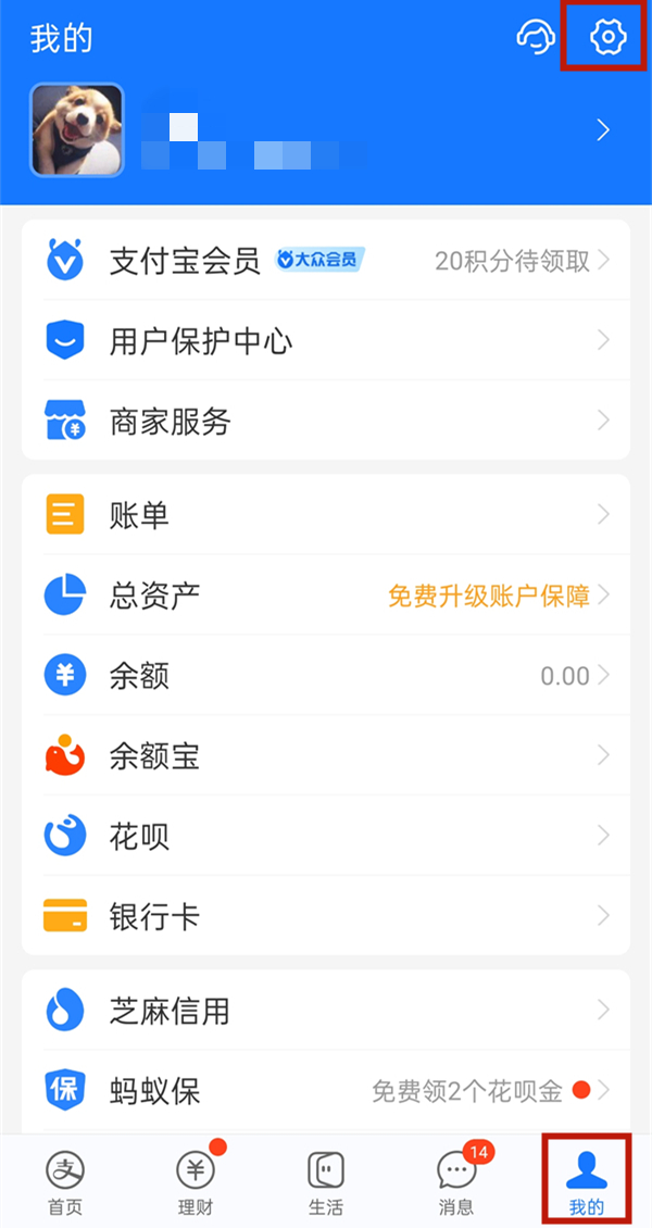 今天分享支付宝如何自定义皮肤壁纸 。。