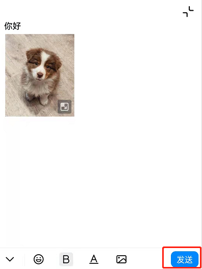 钉钉图片文字可以一起发吗?钉钉图片文字一起发教程截图