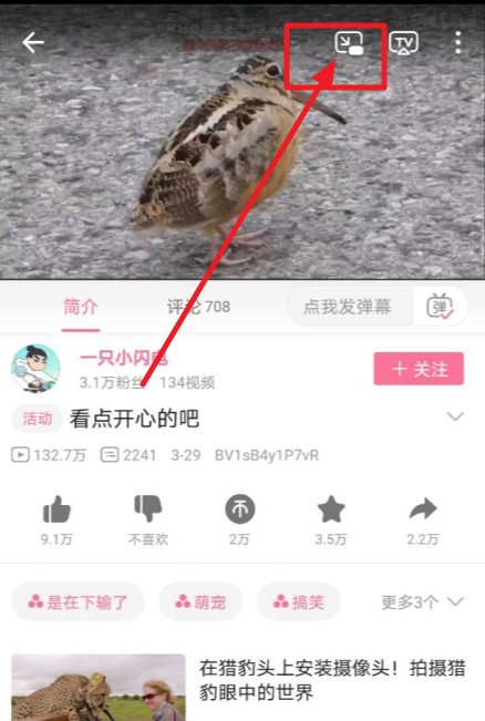 我来教你哔哩哔哩窗口模式怎么开。