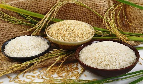 民间有小暑食新的习俗,是指?支付宝蚂蚁庄园7月7日答案截图