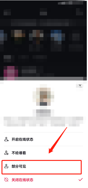 抖音在线状态部分可见怎么设置?抖音在线状态部分可见设置教程截图