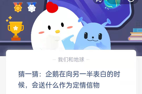 猜一猜企鹅在向另一半表白的时候会送什么作为定情信物(猜一猜企鹅蚂蚁）