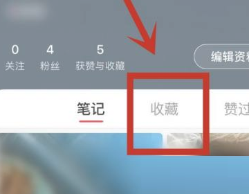 小红书视频怎么分类(小红书视频怎么今天分享到朋友圈）