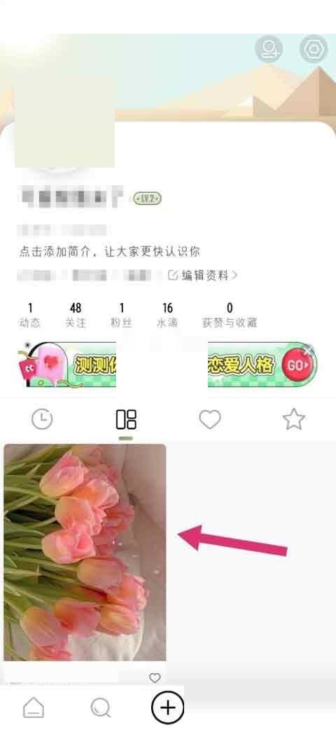 绿洲动态怎么置顶(豆瓣怎么置顶动态）