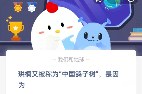 珙桐又被称为“中国鸽子树”(珙桐被称为活化石吗）