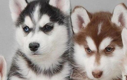 Win10显示器颜色怎么调节?Win10显示器颜色调节方法我来教你