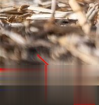 小编分享Win10专业版任务视图快捷键是什么（win10专业版录屏快捷键）