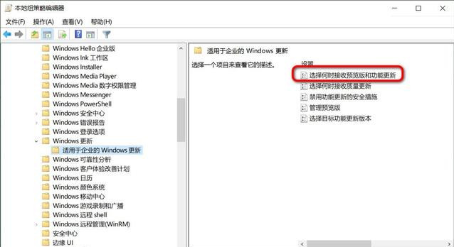 怎么阻止更新至Win10 20H2?