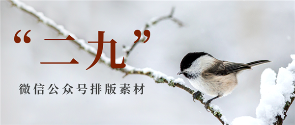 关于135编辑器二九排版素材推荐！二九图文模板介绍