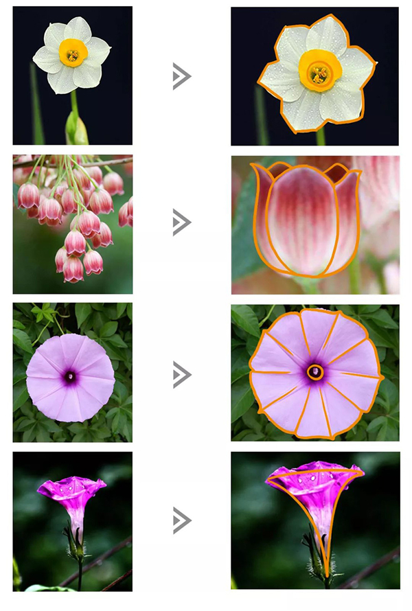 今天分享如何使用PS制作原创顶级扁平噪点插画