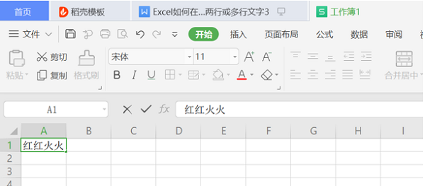 关于WPS在Excel的一个单元格内输入两行或多行文字操作方法