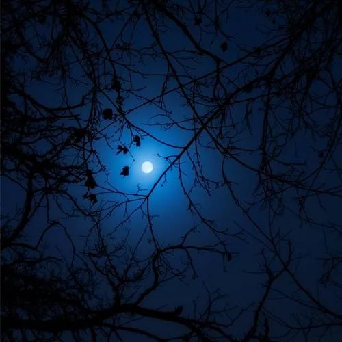 今天分享2020最流行微信头像：成熟稳重的男生头像大全！