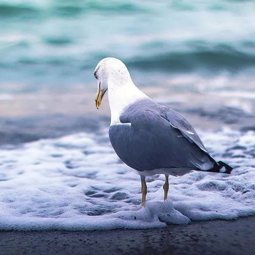 2020最流行微信头像:成熟稳重的男生头像大全!