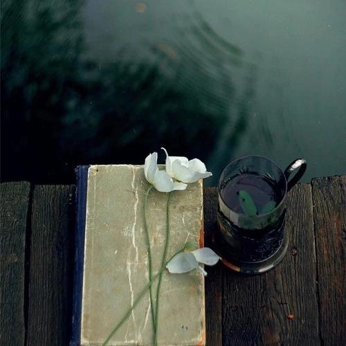 2020年最流行的微信头像!美美哒的头像赶紧换起来!