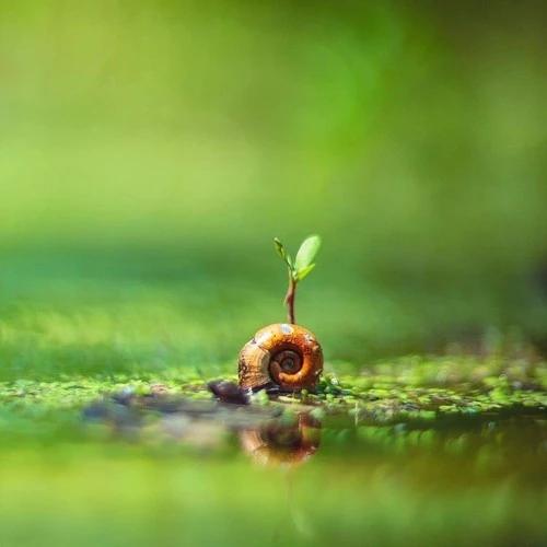 2020年最流行的微信头像!美美哒的头像赶紧换起来!