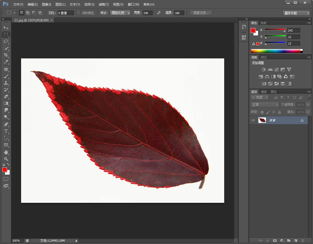 关于PS如何给图片描边（ps如何给图片描边快捷键）