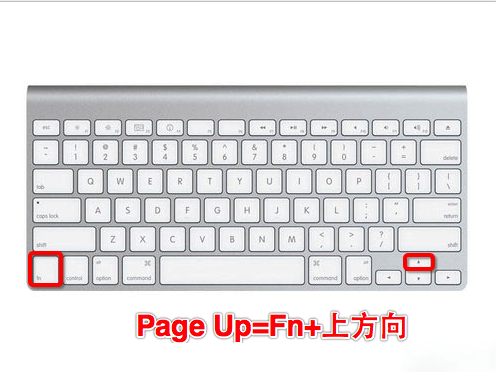 MacOS的Fn键有什么用?MacOS中Fn键的使用方法