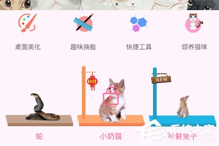 今天说说咪萌桌面宠物怎么玩