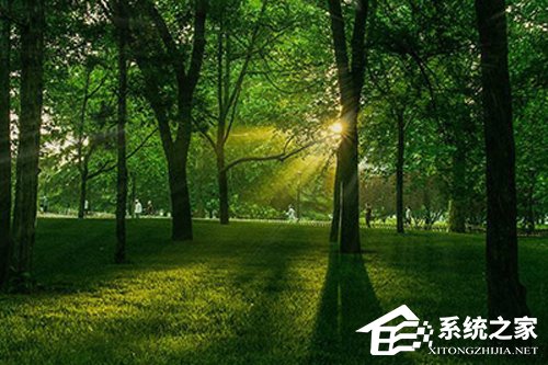 PS树林透光效果怎么做?3分钟了解树林透光效果制作方法